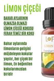 Limon Çiçeği Uçucu Yağ Buhurdanlık Esansı Oda Kokusu Esansiyel Yağ Buhur Yağı 30ML