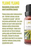 Ylang Ylang Uçucu Yağ Buhurdanlık Esansı Oda Kokusu Uçucu Esansiyel Yağ Buhur Yağı 10ML