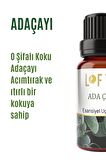 Adaçayı Uçucu Yağ Buhurdanlık Esansı Oda Kokusu Uçucu Esansiyel Yağ Buhur Yağı 10ML