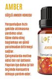 Amber Uçucu Yağ Buhurdanlık Esansı Oda Kokusu Uçucu Esansiyel Yağ Buhur Yağı 10ML