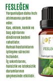 Fesleğen Uçucu Yağ Buhurdanlık Esansı Oda Kokusu Uçucu Esansiyel Yağ Buhur Yağı 10ML