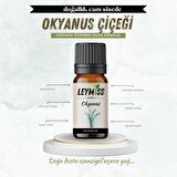 Okyanus Uçucu Yağı Ferahlatıcı ve Yenileyici Deniz Esintisi 10ml Cam Şişede Buhardanlık Oda Kokusu