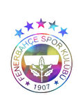 Fb Amblem Hologram Sticker 150*180 mm