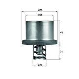 Mahle-Knecht-Behr THD289 Termostat Cayenne 3.6 4.8 07-10 M4851 M4800 94810612501