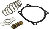 Mahle-Knecht-Behr TX5179D Termostat Kiti-Intarderlı Iveco Stralis Trakker Eurostar Eurotech Ford Cargo 1845 DC468575BA