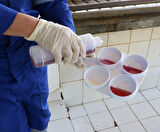 Mastitis Test Diski Beyaz Ekonomik