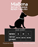 MiaBona Big Bang Model, Yüksek Kaliteli, Dijital Baskılı, Renkli, Köpek Boyun Tasması, Dog Collar