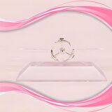 Dekoratif Masa Üstü Obje Manyetik Kinetik Orbital Dönen Yunuslar