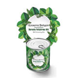 Konserve Bahçem Evde Konservede Dereotu Yetiştirme Kiti Aparatı