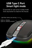 Fmouse KABLOSUZ ŞARJLI RGB MOUSE