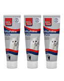 VitaFeline Destekleyici Multivitamin Paste 100Ml 3 Adet