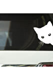 Kenardan Bakan Kedi Tasarımlı Oto Stickeri Beyaz 18*14 Cm