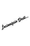 İncinmişsin Dedi Sticker Oto Cam Sticker Siyah 23,5*4 Cm