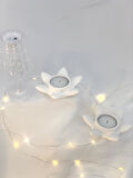Dekoratif 2'li Beton Nilüfer  Soya Mum Set