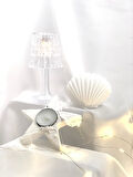 Dekoratif Beton İstiridye Biblo  Yıldız Desen Tealight Set