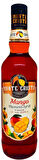 Monte Cristo MANGO AROMALI  Kokteyl & Kahve Şurubu 70 CL