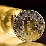 Marydien Bitcoin Madeni Hatıra Parası Madeni Bitcoin Hediye Sikke Para