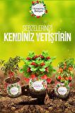 Marydien Konserve Bahçem Konservede Çengelköy Salatalık Yetiştirme Kiti