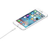 Apple MD819ZM/A Lightning USB Kablosu, 2 m