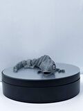 3D Hareketli Bukalemun Figürlü Oyuncak - Gri