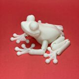 3D Hareketli Kurbağa Figürlü Oyuncak - Beyaz