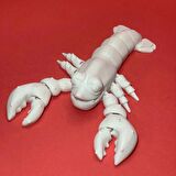 3D Hareketli Istakoz Figürlü Oyuncak - Beyaz