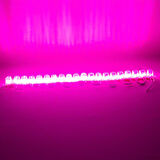 Powermaster Modül Led 12V 1.5W Pembe 2835 85 X 73Mm Ip65 240-260L