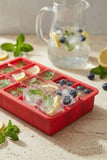 15 Hazneli Silikon Buz Kalıbı & Çok Amaçlı Buzluk Ve Dondurucu Organizeri 12x19 cm