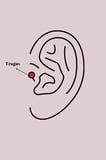 Mey İthalat® 316L Çelik Gümüş Renk Çivi Model Piercing