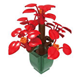 CEYLAN ADAM    Bitki Çiçekleri 8820