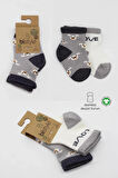 CEYLAN ADAM   Bistyle Love Dog Penye Soket Çorap 2'Li BS10118 Gri