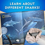 CEYLAN ADAM   NAT07002 National Geographic Köpek Balığı Bulma Kiti - TRHAMSHDIG +6 yaş