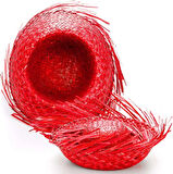 CEYLAN ADAM   Tropikal Parti Kırmızı Hasır Hawaii Şapkası 13x36 cm