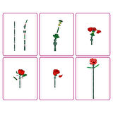 CEYLAN ADAM   5UC00000 MAX Gül sürprizi 247 parça