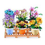 CEYLAN ADAM   MNB08000 MAX Saksı Bitkileri sürprizi 151 parça