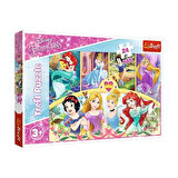 CEYLAN ADAM  PUZZLE-14294 Princess 24 Parça Maxi Çocuk Puzzle