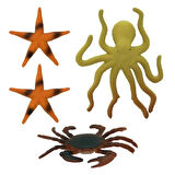 CEYLAN ADAM   Okyanus Hayvanları Poşetli S00000704