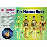 CEYLAN ADAM   The Human Body İnsan Vücudu 3D Eğitim Seti 3302