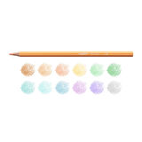 CEYLAN ADAM   Carioca Pastel Renk Kuru Boya Kalemi 12'Li