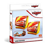 CEYLAN ADAM   Cars Kolluk 15 x 23 cm
