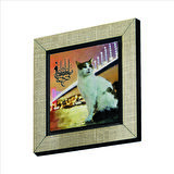 İstanbul Kedisi  Baskılı MDF  Magnet(KRT-064)Buzdolabı Süsü