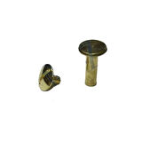 CEYLAN ADAM Cilt Menü, Katalog, Kartela Vidası, 20 Mm - Sarı, 100 Adet