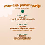 Organik Vegan Çilek Kayısı ve Mango Yulaf Bar Atıştırmalık Paketi - 6 adet (3 çeşit)