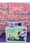 Para Yiyen Hırsız Panda Kumbara