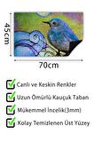 Limon Kapı Önü Paspası Dekoratif Kapı Paspası Dış Mekân Paspas Ev İçi Paspası 45x70cm