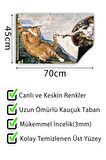 Kedinin Yaratılışı Kapı Önü Paspası Dekoratif Kapı Paspası Dış Mekân Paspas Ev İçi Paspası 45x70cm