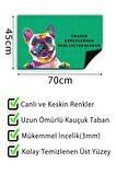 Kapı Önü Paspası Dekoratif Kapı Paspası Dış Mekân Paspas Ev İçi Paspası 45x70cm