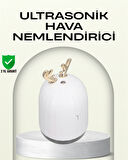 ABS+PP Malzemeli Taşınabilir 220 ml USB Mist Nemlendirici