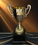 AYYILDIZ BAYRAKÇILIK Ödül Kupası ML010 35cm. Sarı Metal Kupa