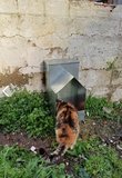 Kedi Köpek Mama Istasyonu 7 kğ